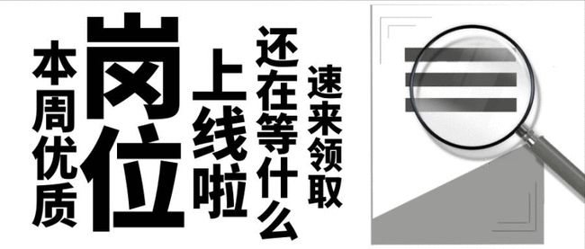 龙马潭区初中最新招聘信息全面解析